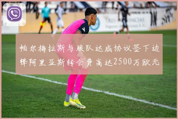 帕尔梅拉斯与狼队达成协议签下边锋阿里亚斯转会费高达2500万欧元